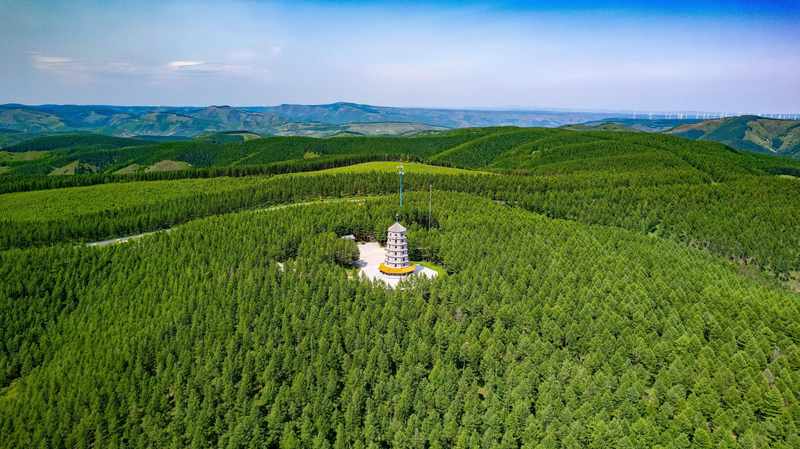 春风拂面,植树正当时;绿色家底,不断增厚。 文化旅游