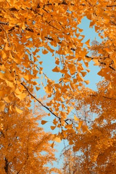 中东资本悄然回流香港；避险需求再度显现。