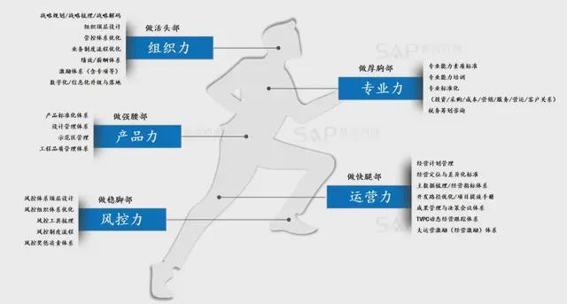  管理咨询的进化逻辑：从地产深耕到全产业链赋能的实证分析 IT技术