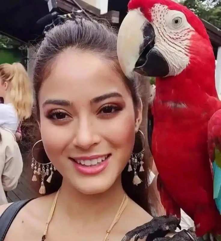  尼泊尔山区生存报告：一位技术视角亲历者的硬核拆解 文化旅游