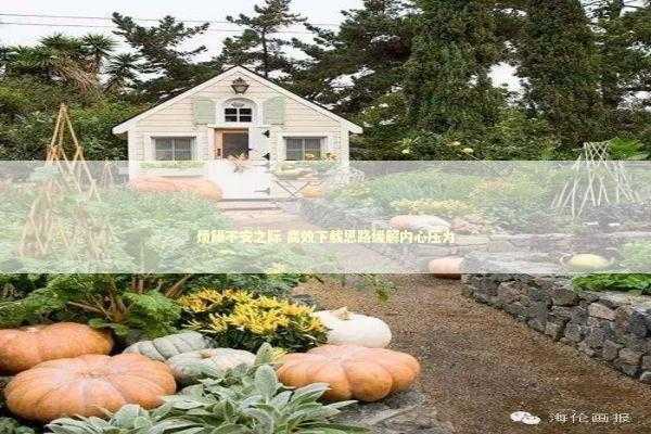 烦躁不安之际 高效下载思路缓解内心压力 新闻