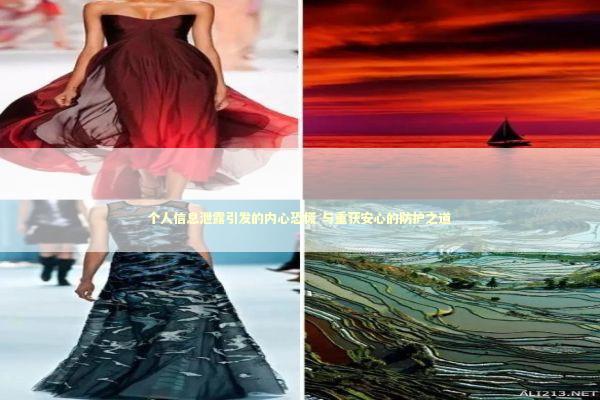 个人信息泄露引发的内心恐慌 与重获安心的防护之道 新闻