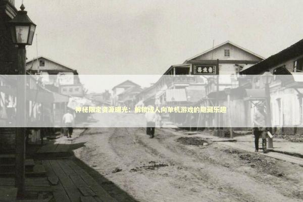 神秘限定资源曝光：解锁成人向单机游戏的隐藏乐趣