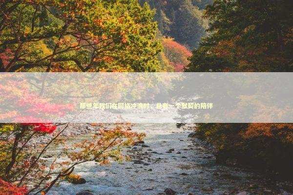 那些年我们在网络冲浪时，总有一个默契的陪伴 IT技术