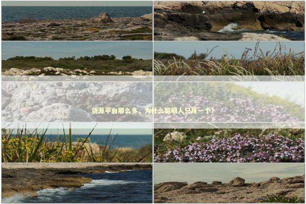 货源平台那么多，为什么聪明人只用一个？ 企业服务